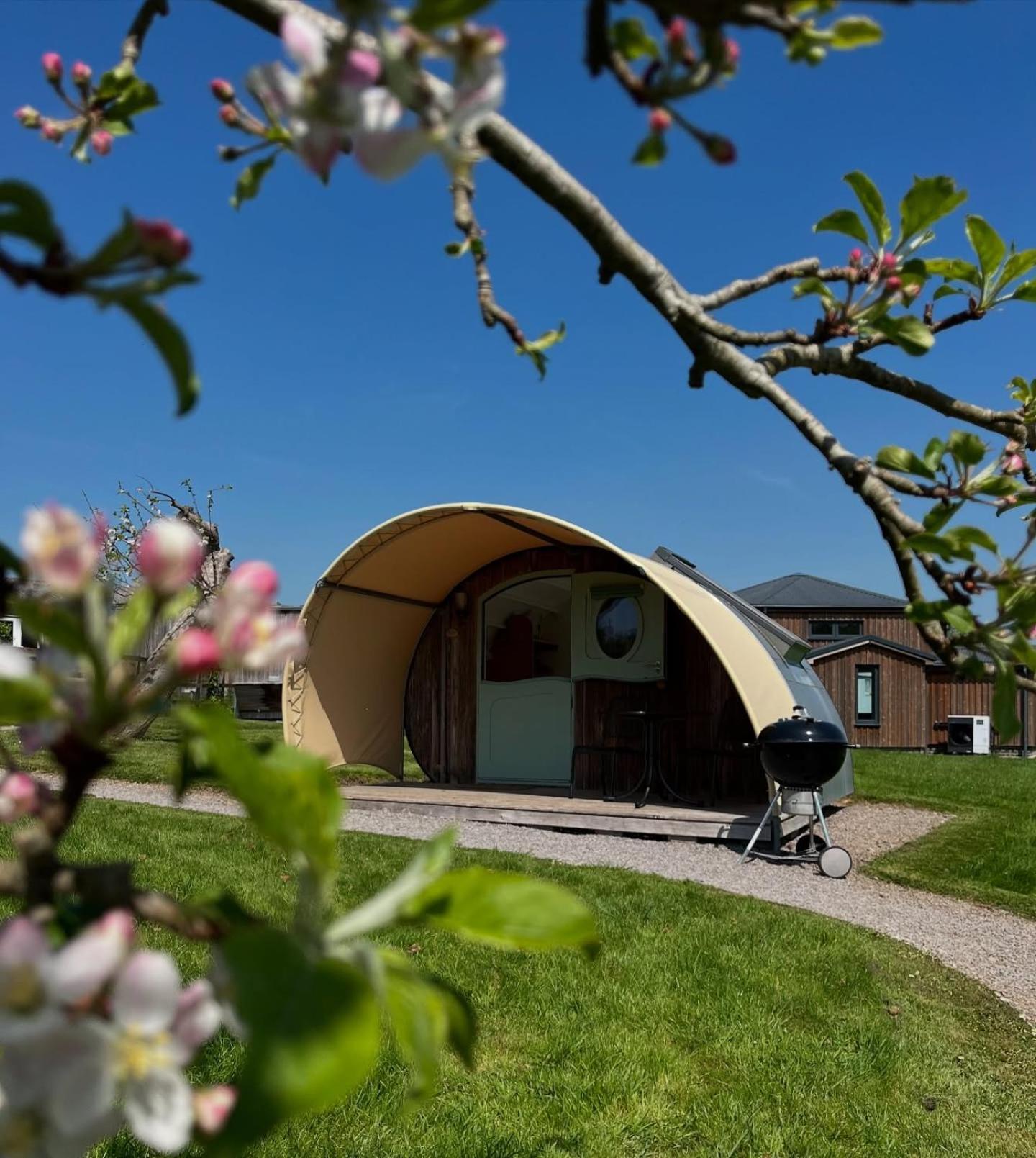 Middlewick Holiday Cottages 글라스턴버리 외부 사진